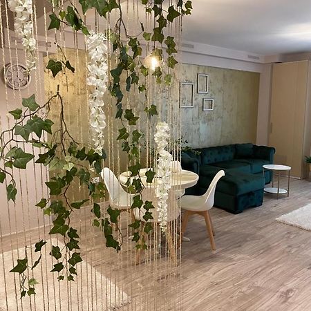 Vega Apartment By Moonlight مامايا المظهر الخارجي الصورة