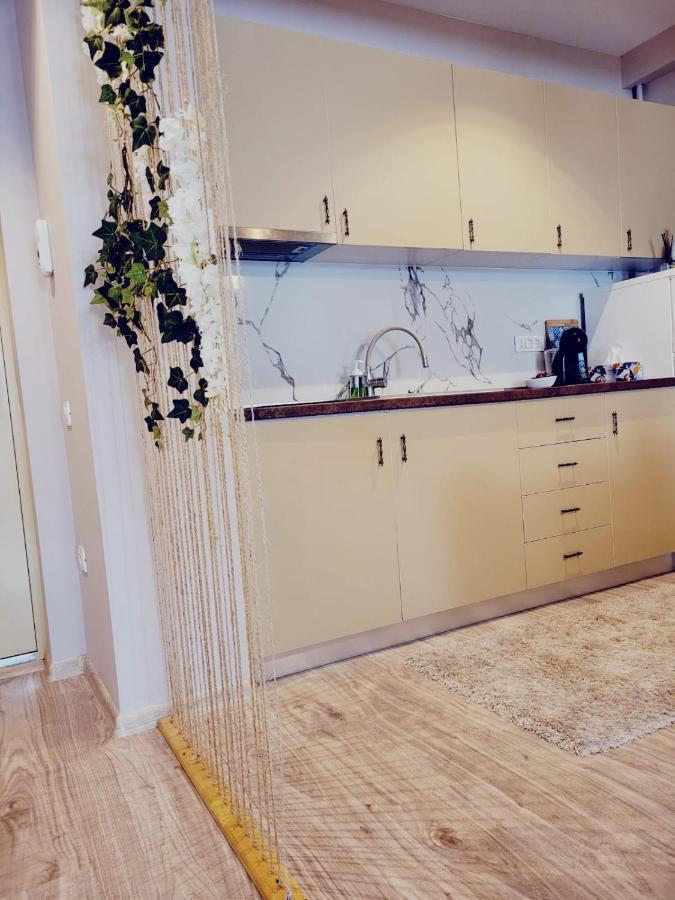 Vega Apartment By Moonlight مامايا المظهر الخارجي الصورة