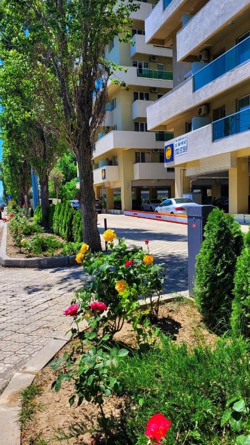 Vega Apartment By Moonlight مامايا المظهر الخارجي الصورة